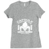 gravity chamber Ladies Fitted T-Shirt
