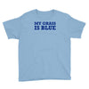 blue grass t shirt country music shirt cool tshirt harmonica banjo shi Youth Tee