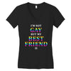 I'M Not Gay But My Best Friend Is Women's V-Neck T-Shirt