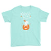 trick or treat Youth Tee