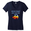 never forget Women's V-Neck T-Shirt