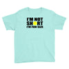 i'm not short, i'm fun size Youth Tee