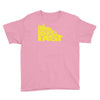 going downhill fast cycling Youth Tee