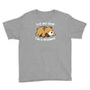 dreamer bear Youth Tee