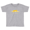 risk Toddler T-shirt