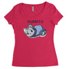 blanket purrito Women's Triblend Scoop T-shirt