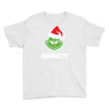 humbug grinch christmas Youth Tee