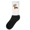 lets explore the galaxy Socks