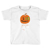 pumpkin patch Toddler T-shirt