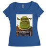 shrek mug shot funny Women's Triblend Scoop T-shirt