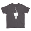 azumanga daioh manga Youth Tee