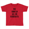 We Should All Be Feminists Toddler T-shirt