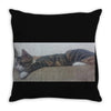 20170307 214809 1 Throw Pillow