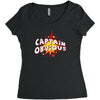 captain obvious Women's Triblend Scoop T-shirt