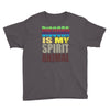 discord is my spirit animal Youth Tee