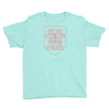 i wear my melanin like a badge of honor Youth Tee