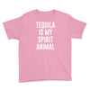 tequila is my spirit animal Youth Tee