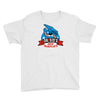 dr sid's Youth Tee