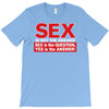 funny rude sex is not the answer, ideal birthday gift or present T-Shirt
