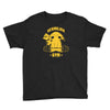 vermilion gym Youth Tee