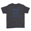 school for champions Youth Tee