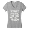 are you kitten me right meow Women's V-Neck T-Shirt