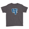 fahrie77 Youth Tee