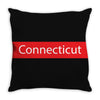 connecticut Throw Pillow