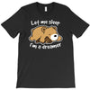 dreamer bear T-Shirt