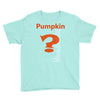 pumpkin everything Youth Tee