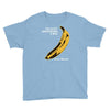 the velvet underground rock music band Youth Tee