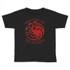 mother of dragons Toddler T-shirt