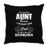 I'm Called Aunt Because I'm Way Too Cool To Be Called Grandma Throw Pillow