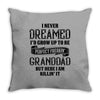 Perfect Freakin Granddad Throw Pillow