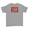 in case of gamer invasion Youth Tee