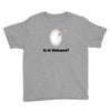 is it Unicorn Youth Tee