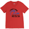 I Don't Care How Many Miles Per Gallon V-Neck Tee