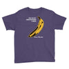 the velvet underground rock music band Youth Tee
