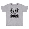 i have two titles aunt and dogmom and i rock them both Toddler T-shirt