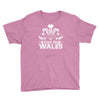 come on wales funny nations rugby Youth Tee
