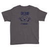 crabby day Youth Tee