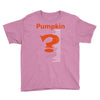 pumpkin everything Youth Tee
