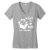 the cat in the box Women's V-Neck T-Shirt