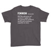 Feminism Noun Youth Tee
