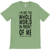 official t shirt red sleeping with sirens whole world lyrics all sizes T-Shirt