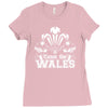 come on wales funny nations rugby Ladies Fitted T-Shirt