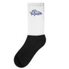 axolotl questions Socks