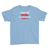 i may be wrong Youth Tee
