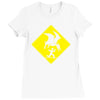 pterosaur warning Ladies Fitted T-Shirt