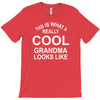 this is what a cool grandma looks like T-Shirt